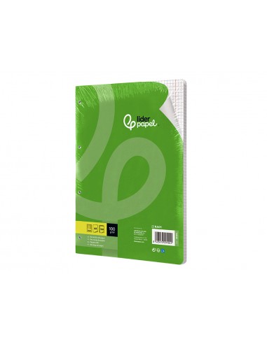 Recambio liderpapel a4 100 hojas...