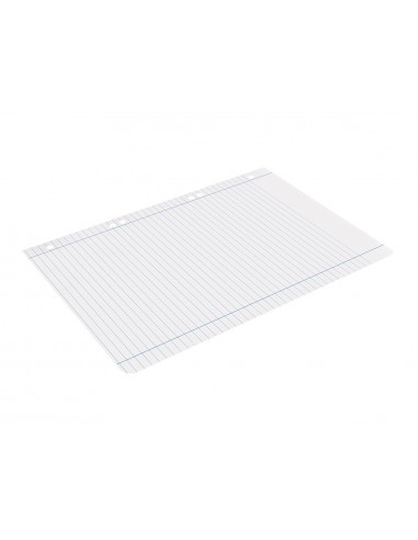 Recambio liderpapel a5 100 h 100g/m2...