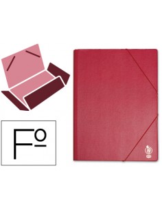 Carpeta liderpapel gomas...