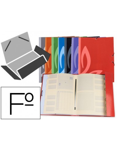 Carpeta liderpapel gomas carton...