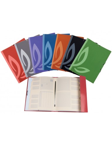 Carpeta liderpapel gomas carton...