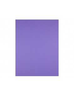 Cartulina liderpapel 50x65... 2