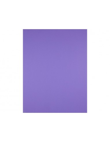 Cartulina liderpapel 50x65 cm 240...