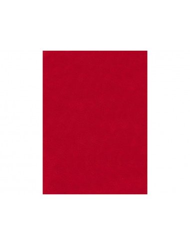 Fieltro liderpapel 50x70cm rojo 160g/m2