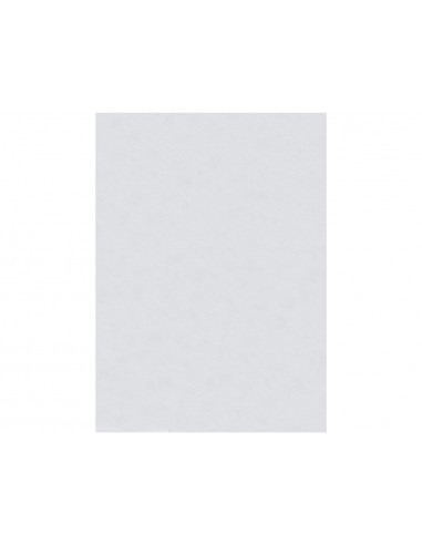 Fieltro liderpapel 50x70cm blanco...