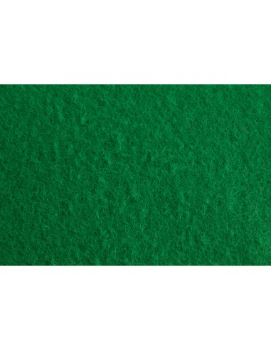 Fieltro liderpapel 50x70cm verde 160g/m2