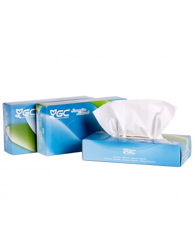 Pañuelo tissu 2 capas 21x20,7 cm caja...