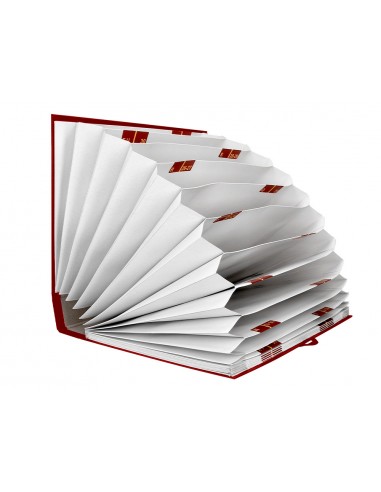 Carpeta fuelle liderpapel folio...