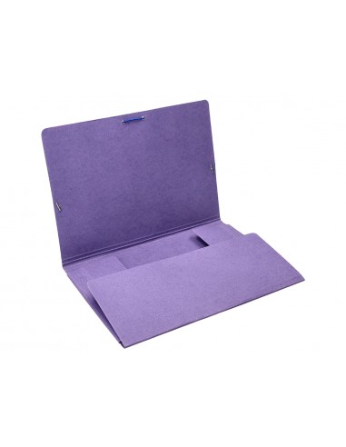 Carpeta liderpapel gomas folio 3...