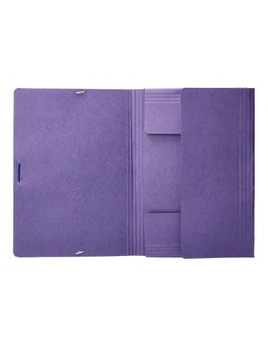 Carpeta liderpapel gomas folio 3...