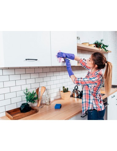 Limpiador desinfectante sanytol para...