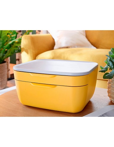 Fichero cajones de sobremesa leitz...