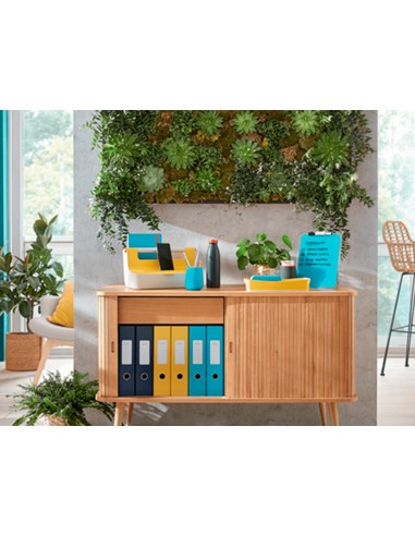 Bandeja sobremesa plastico leitz cosy...