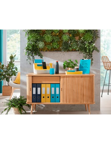 Bandeja sobremesa plastico leitz cosy...