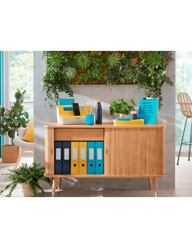 Bandeja sobremesa plastico leitz cosy...