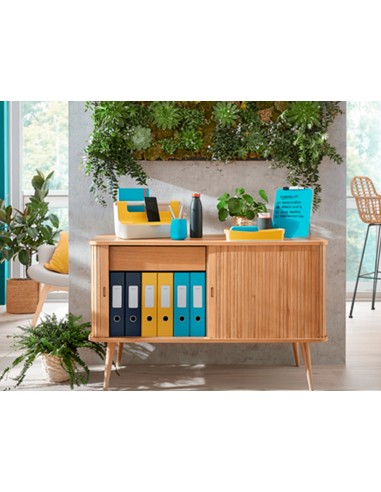 Bandeja sobremesa plastico leitz cosy...