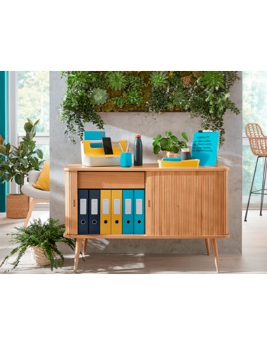 Bandeja sobremesa plastico leitz cosy...