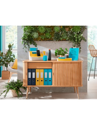 Bandeja sobremesa plastico leitz cosy...