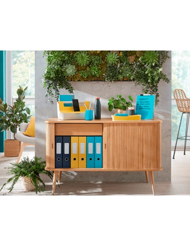 Bandeja sobremesa plastico leitz cosy...