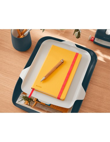 Bandeja sobremesa plastico leitz cosy...