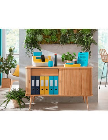 Bandeja sobremesa plastico leitz cosy...