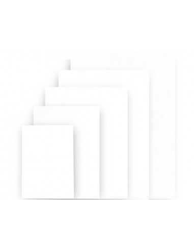 Carton pluma liderpapel blanco doble...