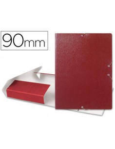 Carpeta proyectos...