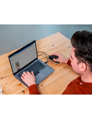 Raton q-connect optico 800 dpi usb...