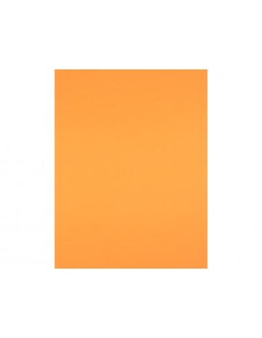 Cartulina liderpapel 50x65 cm 240g/m2...