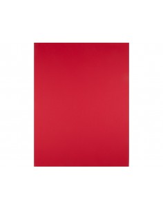 Cartulina liderpapel 50x65... 2