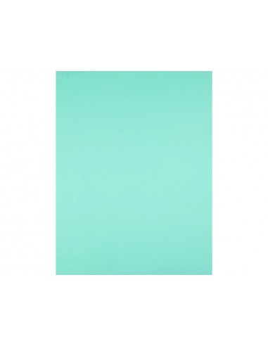 Cartulina liderpapel 50x65 cm 240g/m2...