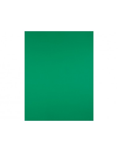 Cartulina liderpapel 50x65 cm 240g/m2...