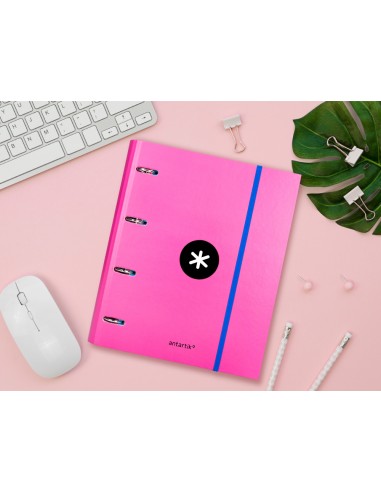 Carpeta con recambio antartik a4...