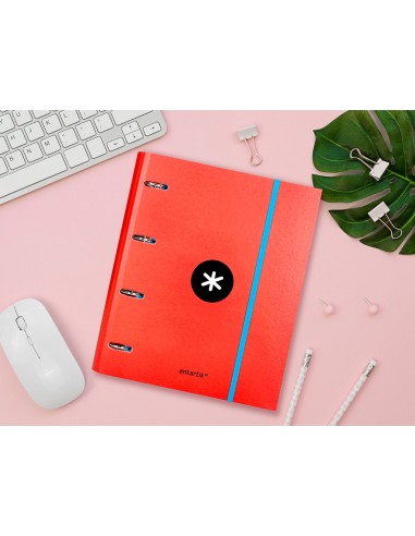 Carpeta con recambio antartik a4...