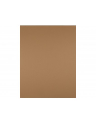 Cartulina liderpapel 50x65 cm 180 gr...