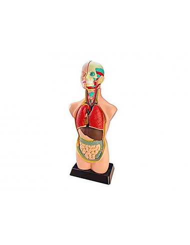 Juego miniland anatomia humana 11...