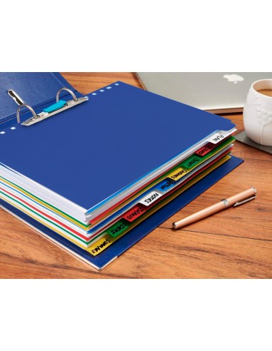 Separador liderpapel plastico juego...