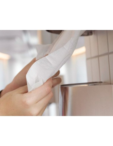 Papel secamanos 2 capas 199 mm x 135...