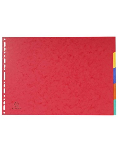 Separador exacompta cartulina brillo...