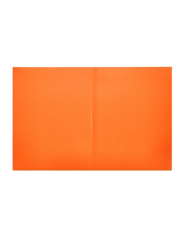 Subcarpeta liderpapel a4 naranja...